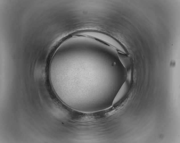 X0000091290252200708101252