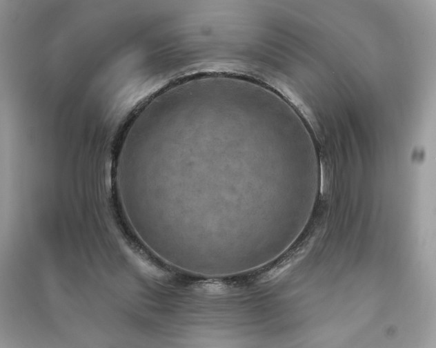 X0000091290253200708101252