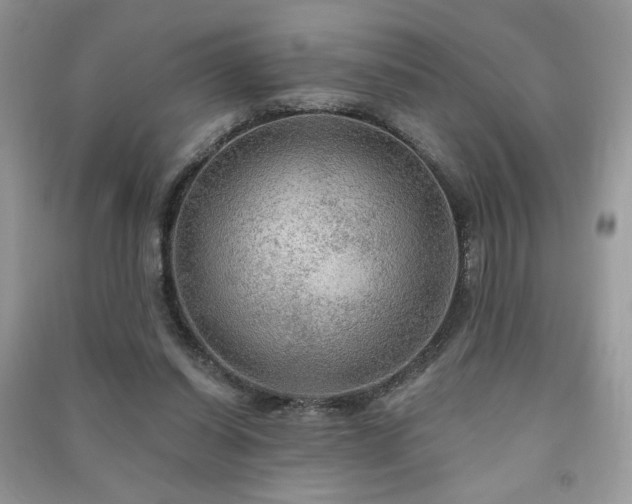 X0000091290254200708101252