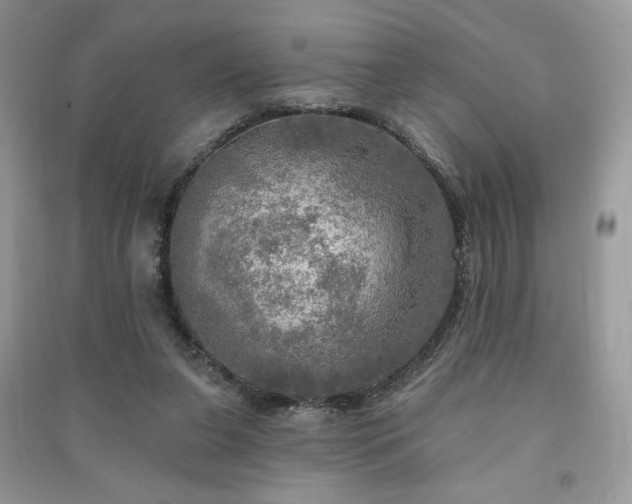 X0000091290255200708101252