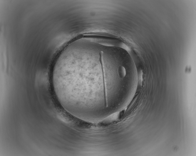 X0000091290256200708101252