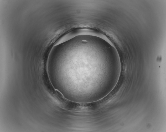 X0000091290260200708101252