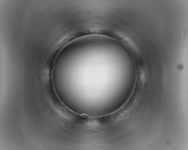 X0000091290262200708101252