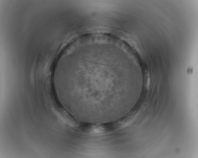 X0000091290263200708101252