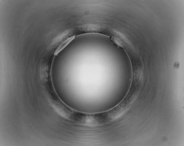 X0000091290264200708101252