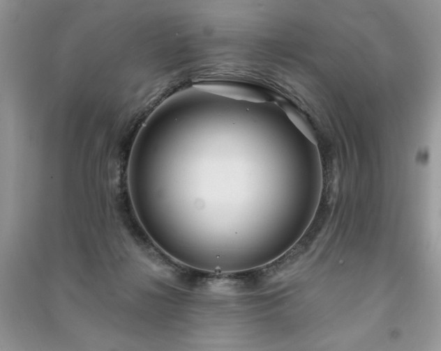 X0000091290268200708101252