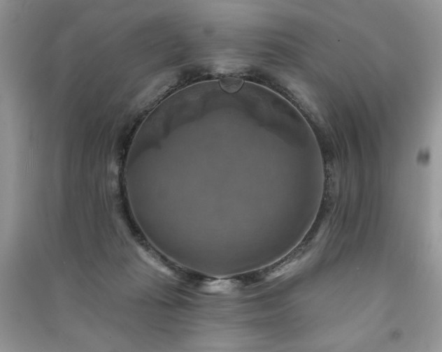 X0000091290269200708101252