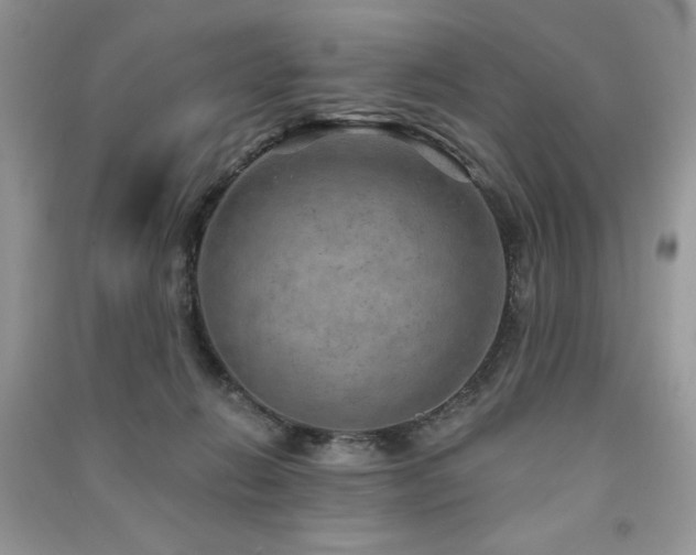 X0000091290270200708101252