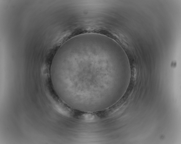 X0000091290272200708101252