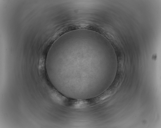 X0000091290274200708101252