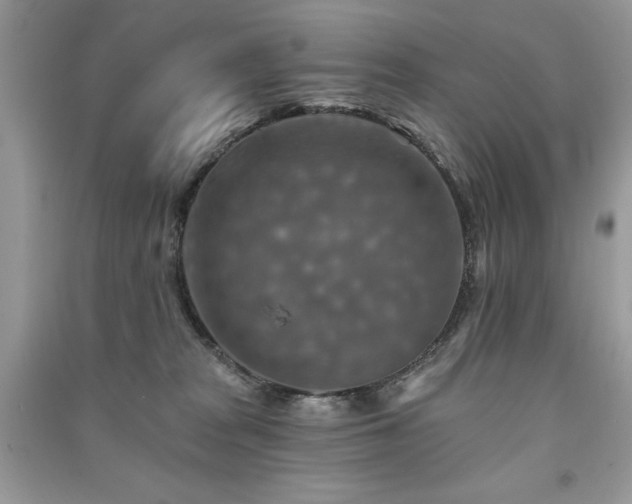 X0000091290277200708101252