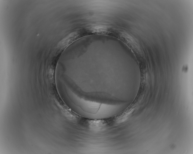 X0000091290281200708101252