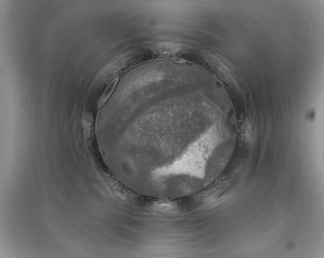 X0000091290283200708101252