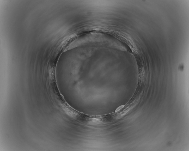 X0000091290285200708101252