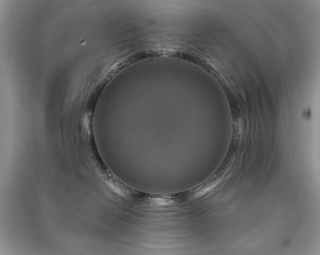 X0000091290286200708101252