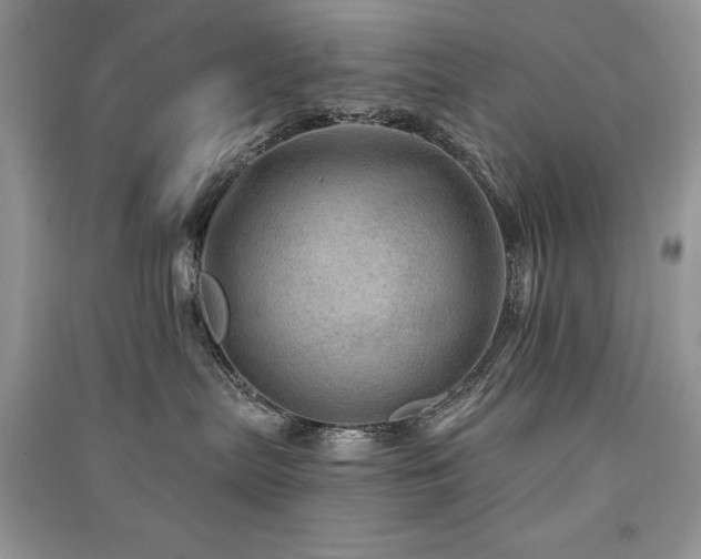 X0000091290287200708101252