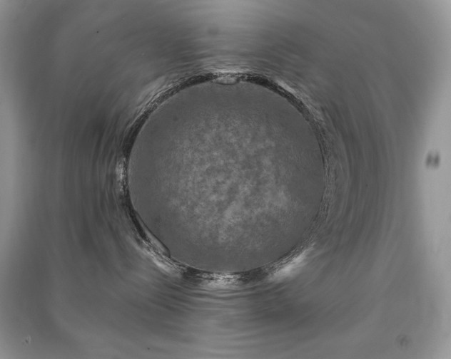 X0000091290288200708101252