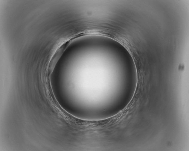 X0000091290289200708101252