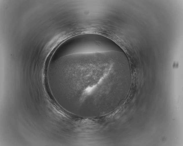 X0000091290290200708101252