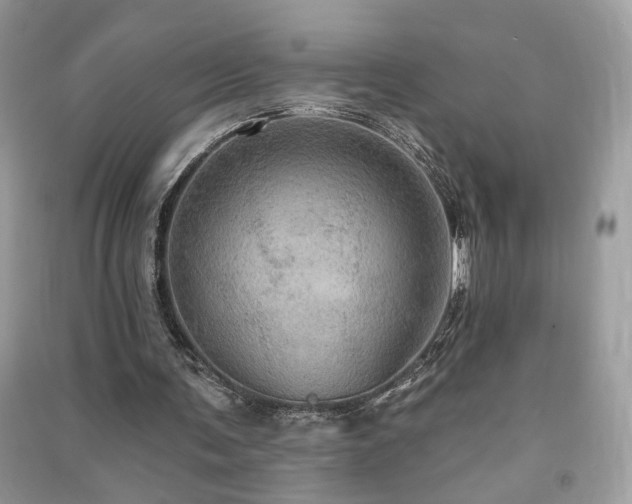 X0000091290291200708101252