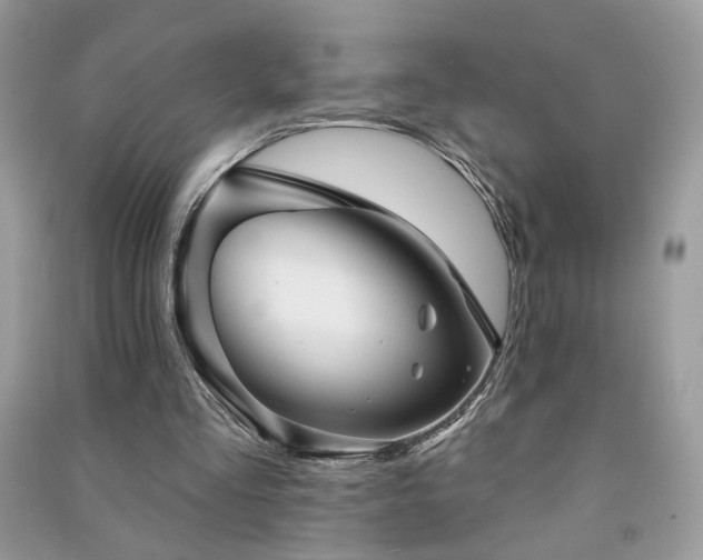 X0000091290293200708101252