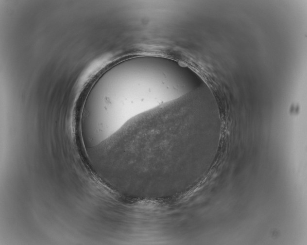 X0000091290294200708101252