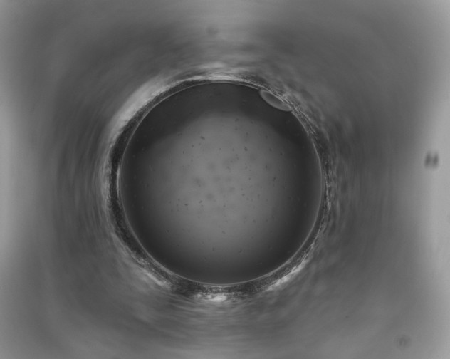 X0000091290295200708101252