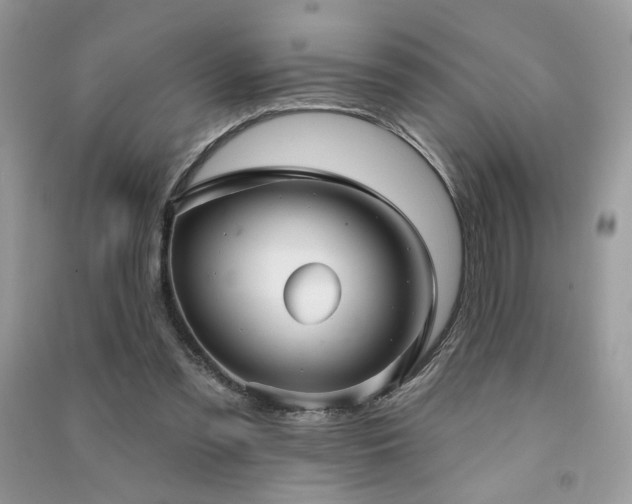 X0000091290301200708101252