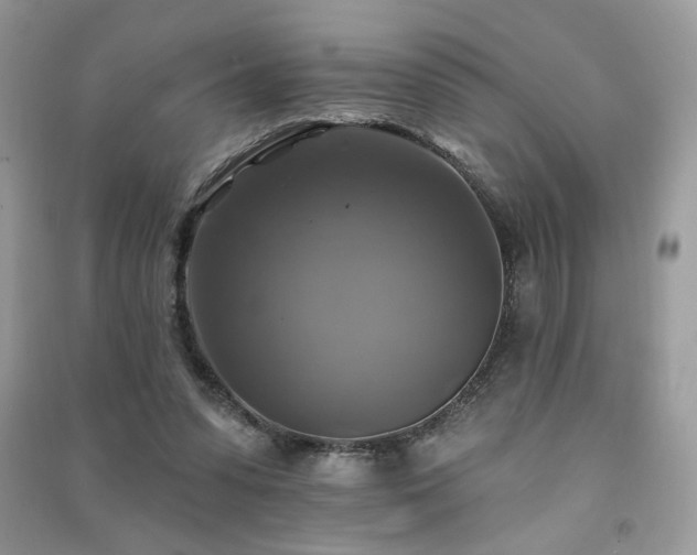 X0000091290303200708101252