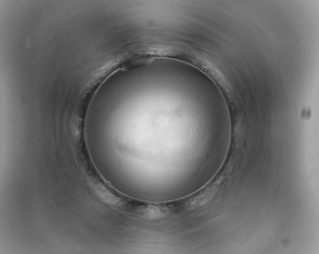 X0000091290305200708101252