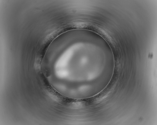 X0000091290307200708101252