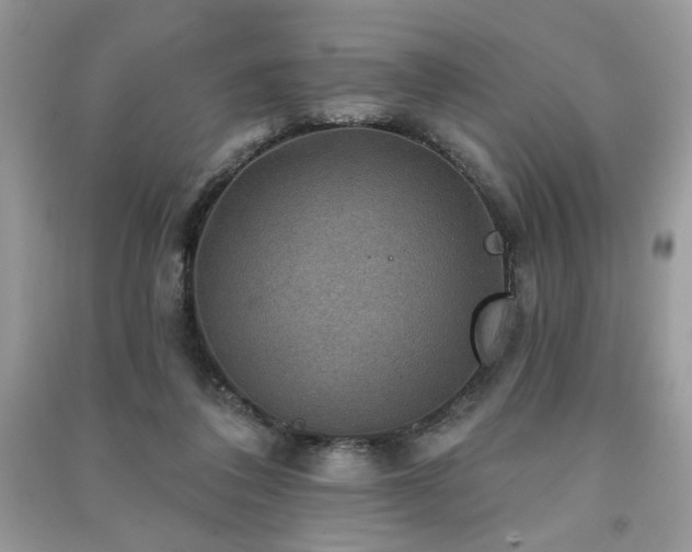 X0000091290308200708101252