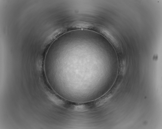 X0000091290309200708101252