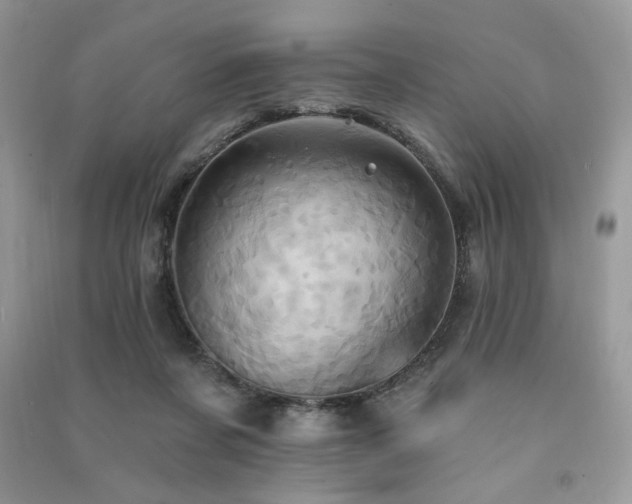 X0000091290311200708101252