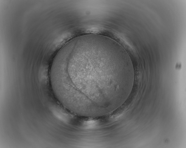 X0000091290312200708101252