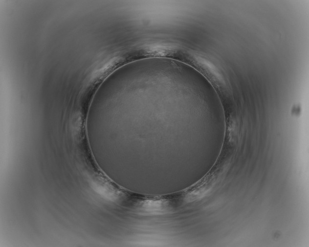 X0000091290314200708101251