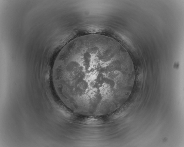 X0000091290315200708101251