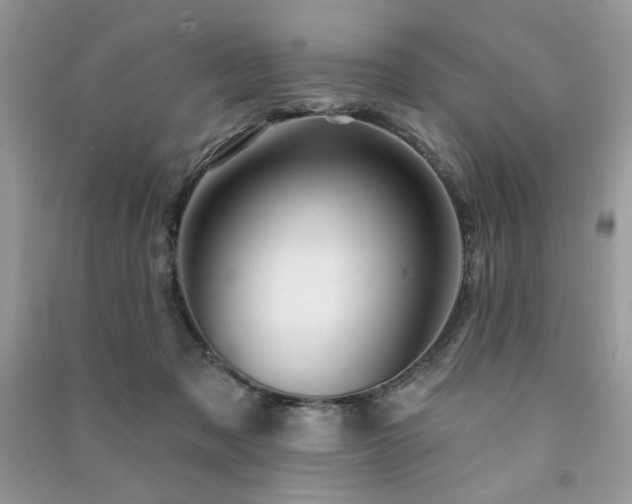 X0000091290317200708101251