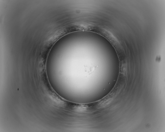 X0000091290318200708101251