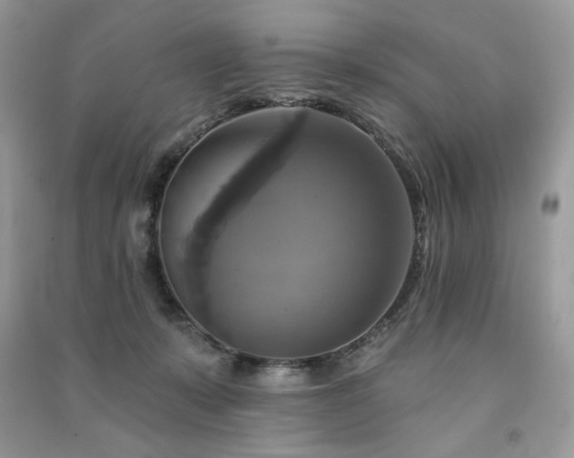 X0000091290319200708101251