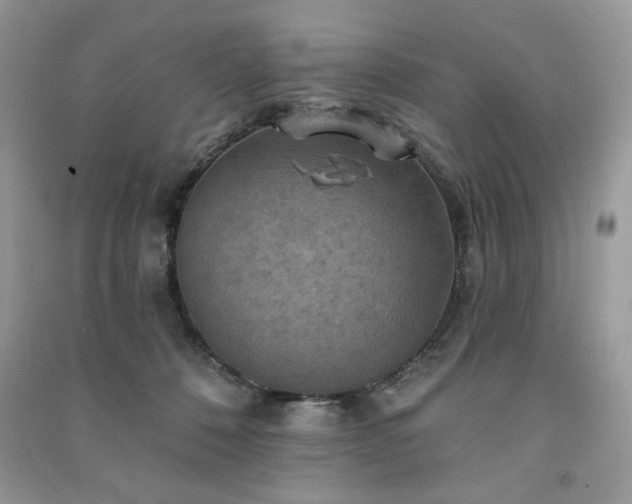 X0000091290320200708101251