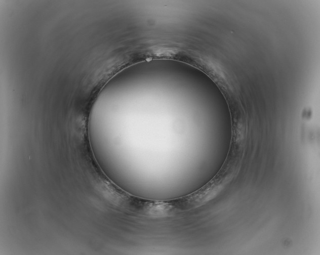 X0000091290321200708101251