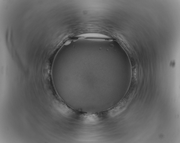 X0000091290322200708101251