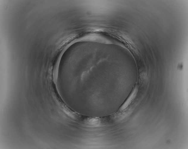 X0000091290325200708101251