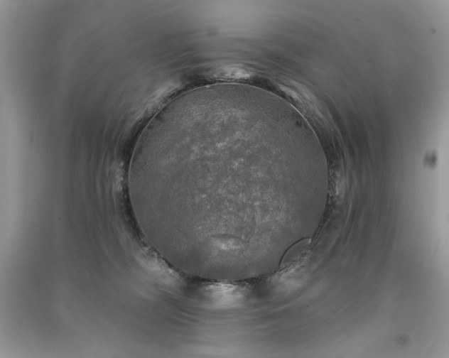 X0000091290326200708101251