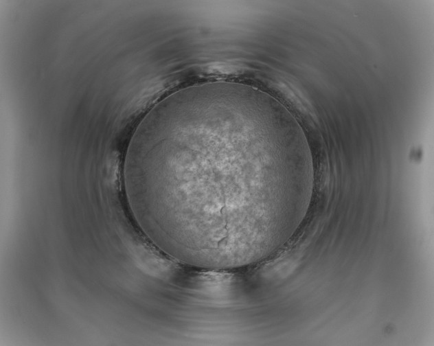 X0000091290328200708101251