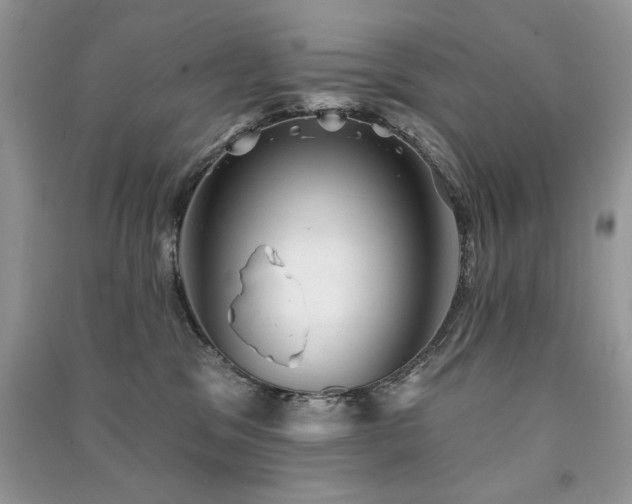 X0000091290329200708101251