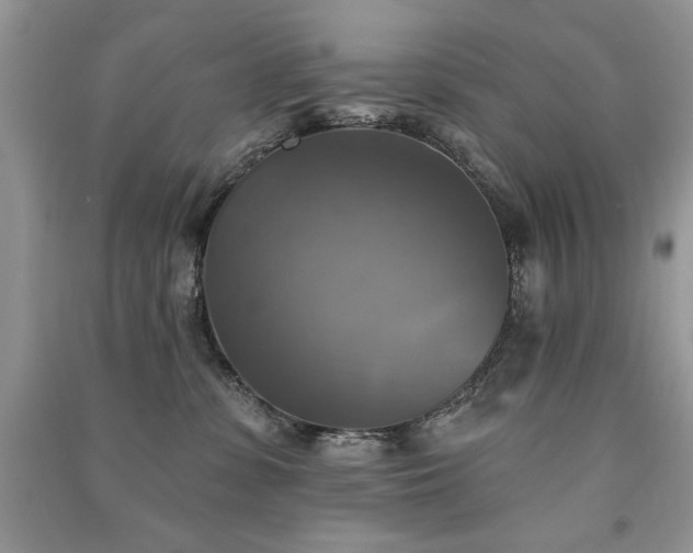 X0000091290331200708101251