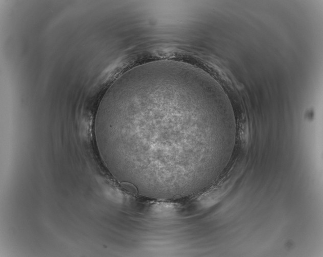 X0000091290332200708101251