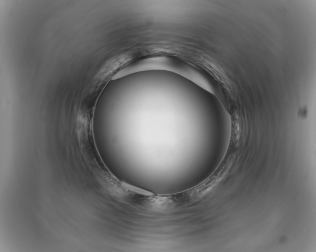 X0000091290333200708101251